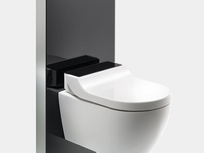 Geberit Monolith 114